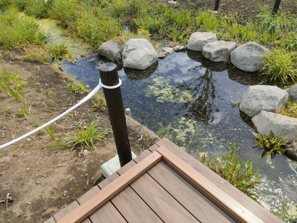 ビオトープ画像データ