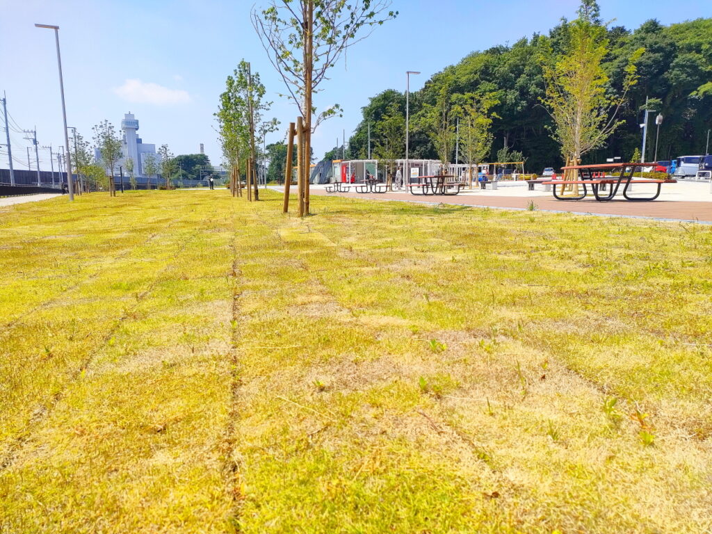 噴水横芝生広場写真データ