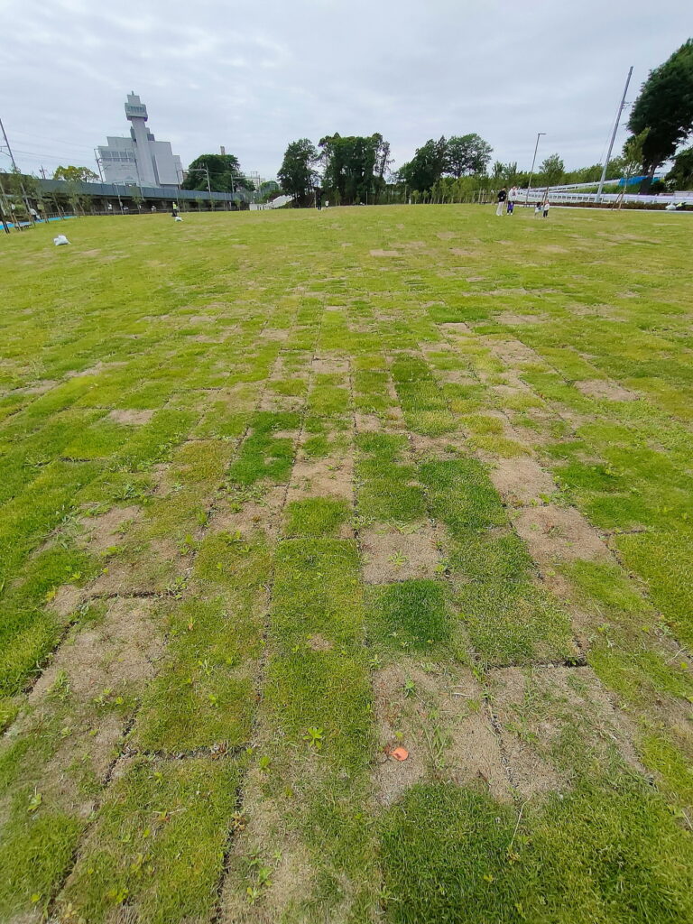 20260523管理棟南側の芝生広場開放